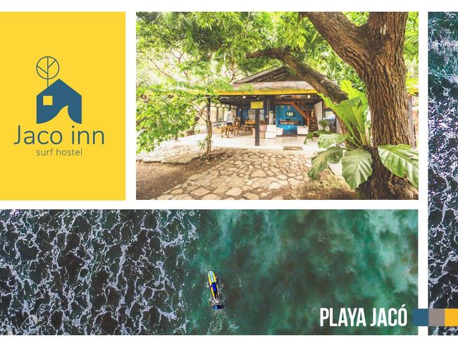 Jaco Inn - Weekly Surf & Yoga Experience - Chiclets Tree Zipline